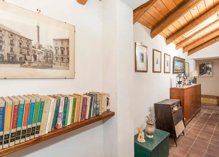 Zuccaro 特雷卡斯塔尼